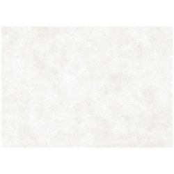 Carta Kraft