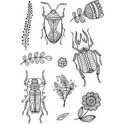 Timbri trasparenti