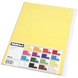 Carta Color Bar
