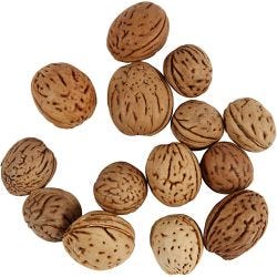 Piccole nocciole