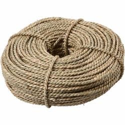 Alga