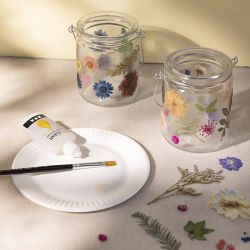 Fiori e foglie pressati