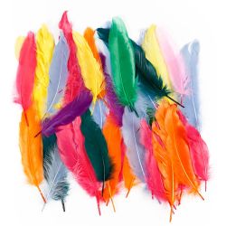 Piume