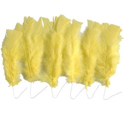 Piume