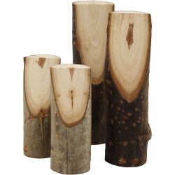 Ramo di albero decorativo tagliato ad angolo