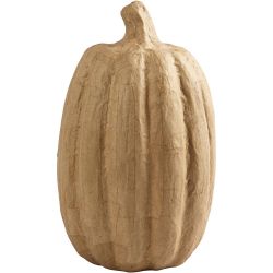 Zucca