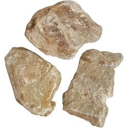 Saponaria