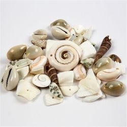 Conchiglie, misura 9-40 mm, misura buco 1-1,5 mm, 120 g/ 1 conf.