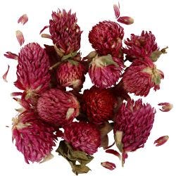 Fiori Secchi