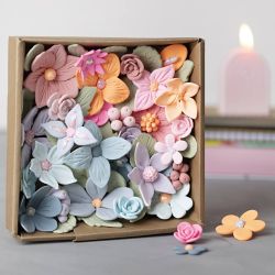 Formine tagliabiscotti