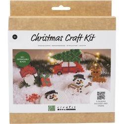 Kit Fai da te NABBI BioBeads