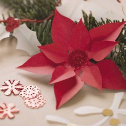 Pacchetto per ritaglio