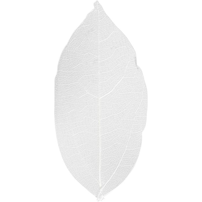 Foglie, L: 6-8 cm, bianco, 20 pz/ 1 conf.