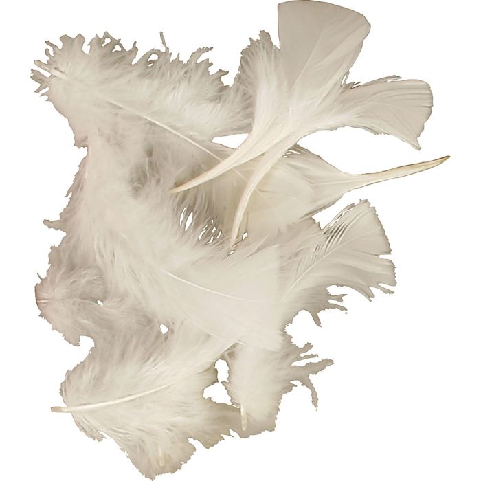 Piume, misura 7-8 cm, ca. 3750 pz, bianco, 10x50 g/ 1 conf.