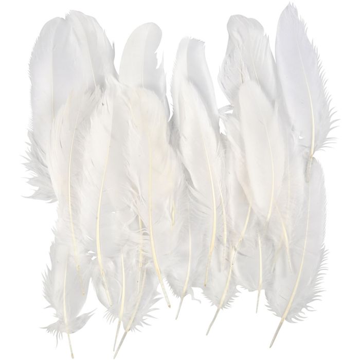 Piume, ca. 10-18 cm, bianco, 5x70 pz/ 1 conf.