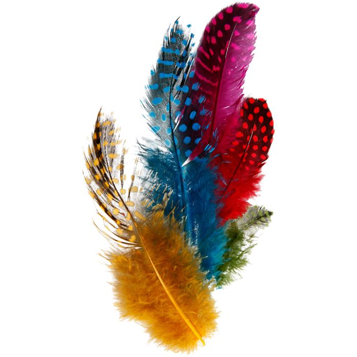 Piume di faraona, ca. 100 pz, colori asst., 3 g/ 1 conf.
