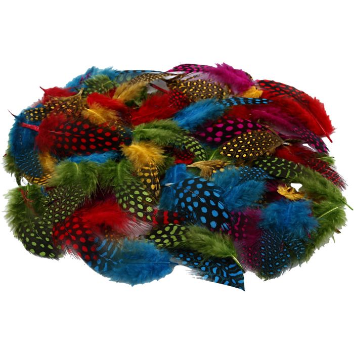 Piume di faraona, ca. 1500 pz, colori asst., 50 g/ 1 conf.