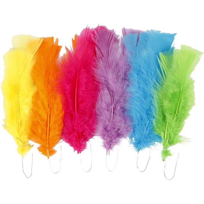 Piume, misura 11-17 cm, colori asst., 18 pacch./ 1 conf.