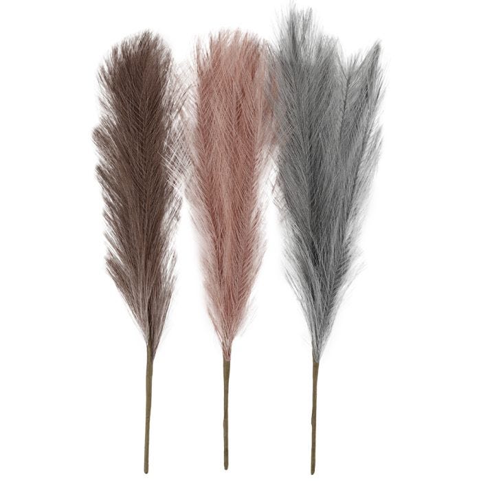 Erba di pampa, L: 50 cm, blu pallido, frosted purple, rosa antico, 3 pz/ 1 pacch.