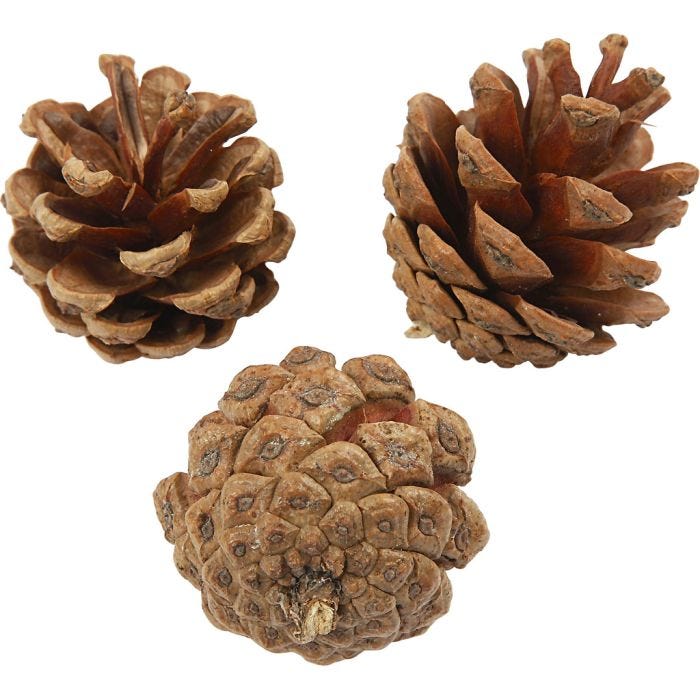 Pigne, diam 40 mm, 500 g/ 1 conf.