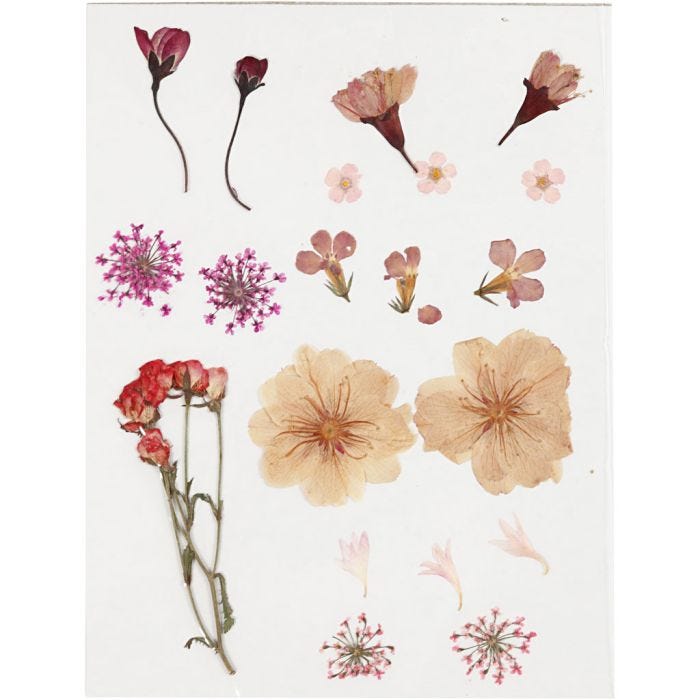 Fiori e foglie pressati, rosato chiaro, 1 conf.