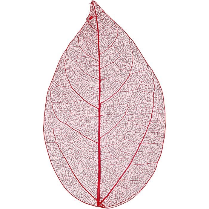 Foglie, L: 6-8 cm, rosso, 20 pz/ 1 conf.