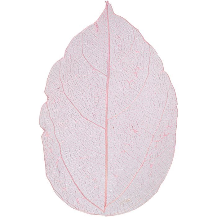 Foglie, L: 6-8 cm, rosso chiaro, 20 pz/ 1 conf.