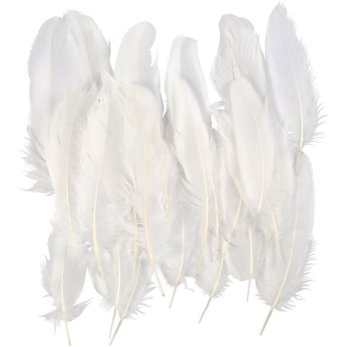 Piume, bianco, 350 pz/ 1 conf.
