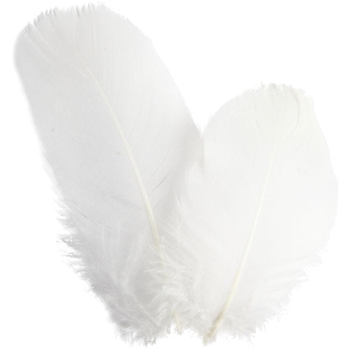Piume d'oca, rotonde, L: 5-8 cm, bianco, 3 g/ 1 conf.