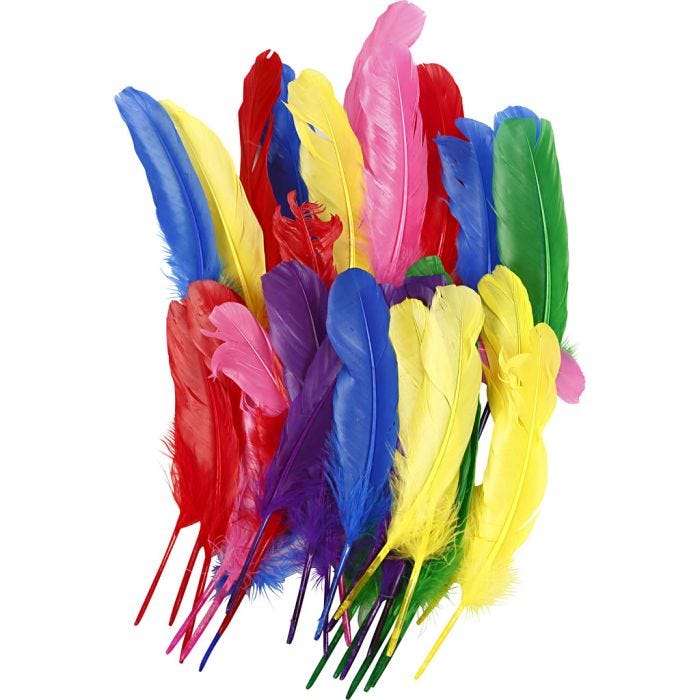 Piume, L: 20 cm, colori asst., 36 pz/ 1 conf.