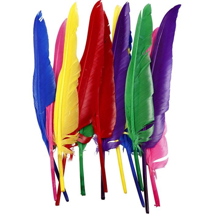 Piume, L: 27 cm, colori asst., 12 pz/ 1 conf.