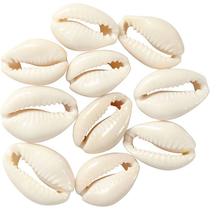 Conchiglie, L: 20 mm, natural, 12 pz/ 1 conf.