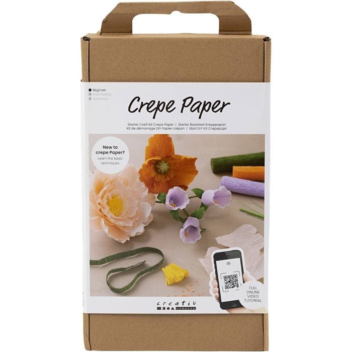 Kit Fai da te Principiante Carta Crespa, colori asst., 1 conf.
