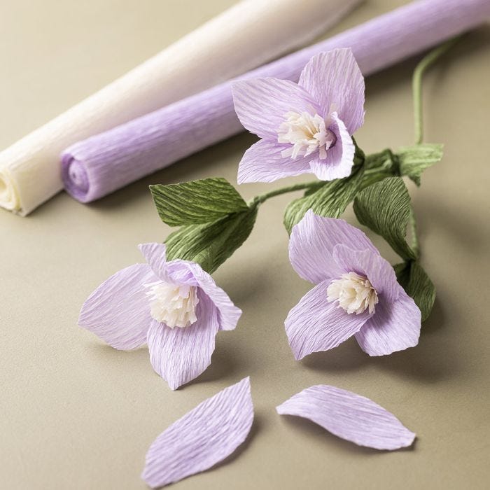 Clematis in carta crespa