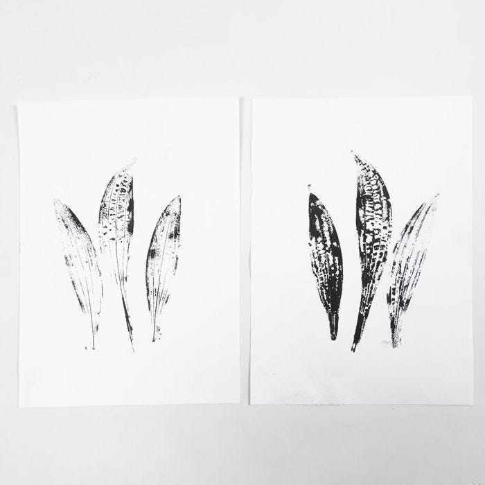 Come realizzare stampe in gel con disegni della natura