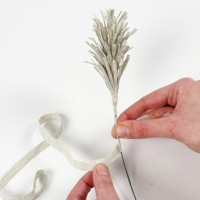 Come realizzare punte di erba di pampa o abete con carta crespa 