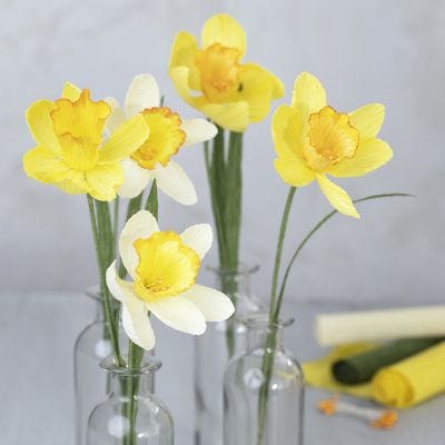 Narcisi di carta crespa