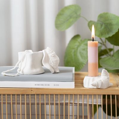 Portacandele e contenitore con conchiglie