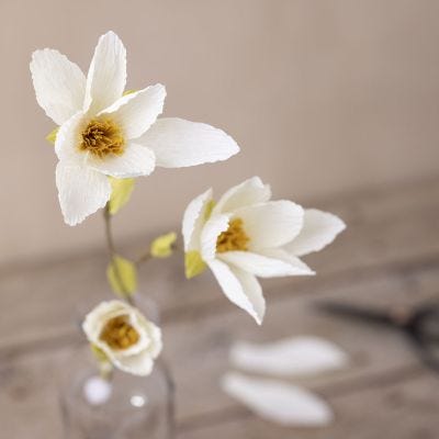 Magnolia realizzata in carta crespa