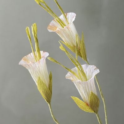 Bignonia selvatica realizzata in carta crespa