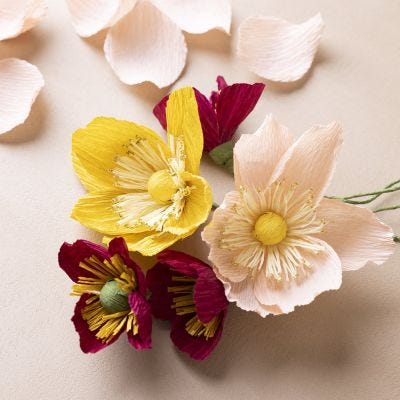 Anemoni giapponesi realizzati in carta crespa