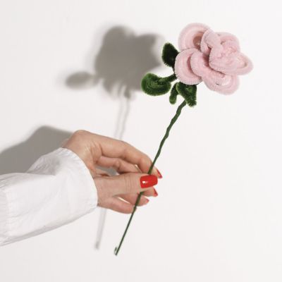 Rosa di scovolini