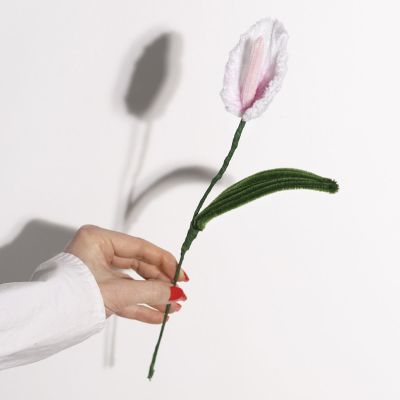 Calla con scovolini