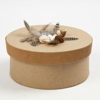 Corrugated Board, Feathers and Seashells on a Box with a  Lid
