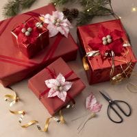 Confezione regalo di carta crespa a forma di stella di Natale