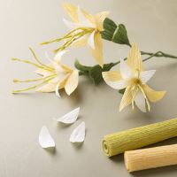 Clematis realizzata in carta crespa