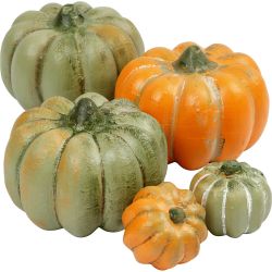 Zucca