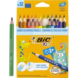 BIC Matite Colorate Evolution Triangle