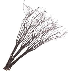 L: 50-60 cm