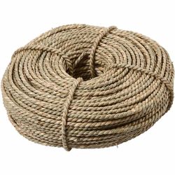 Alga
